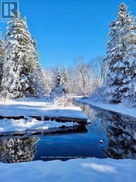 81 MCGUIRE BEACH ROAD Kawartha Lakes (Carden) Ontario photo 15