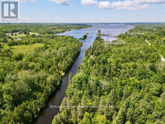 81 MCGUIRE BEACH ROAD, Kawartha Lakes (Carden), Ontario, K0M2B0