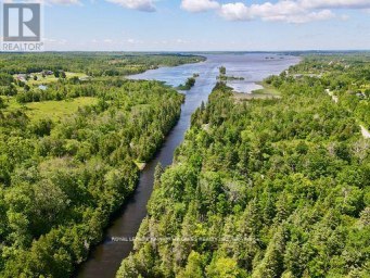 81 MCGUIRE BEACH ROAD Kawartha Lakes (Carden) Ontario photo 3