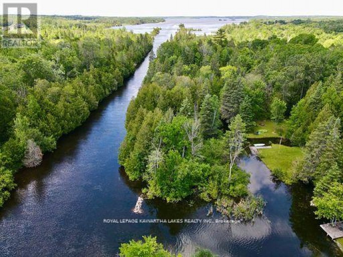 81 MCGUIRE BEACH ROAD, Kawartha Lakes (Carden), Ontario, K0M2B0