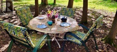 81 MCGUIRE BEACH ROAD Kawartha Lakes (Carden) Ontario photo 40