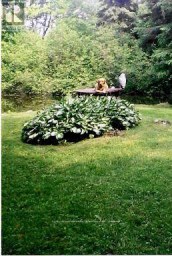 81 MCGUIRE BEACH ROAD Kawartha Lakes (Carden) Ontario photo 41