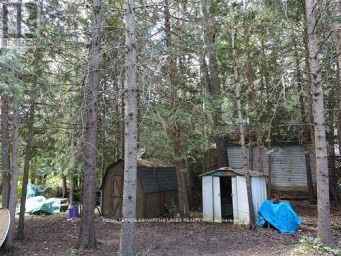 81 MCGUIRE BEACH ROAD Kawartha Lakes (Carden) Ontario photo 43