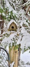 81 MCGUIRE BEACH ROAD Kawartha Lakes (Carden) Ontario photo 45