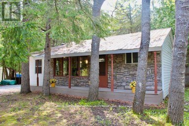 81 MCGUIRE BEACH ROAD Kawartha Lakes (Carden) Ontario photo 8