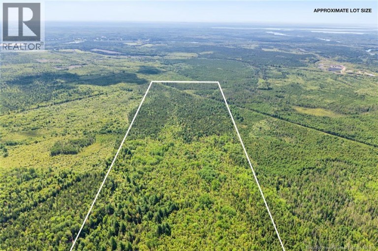 Lot Route 10, Upper Salmon Creek, New Brunswick, O0O0O0
