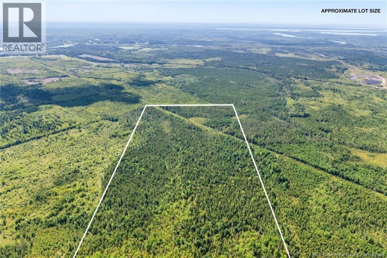 Lot Route 10, Upper Salmon Creek, New Brunswick, O0O0O0