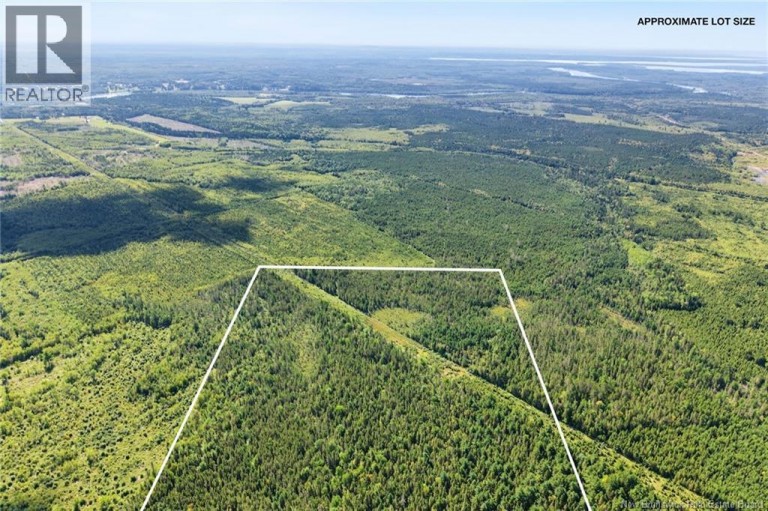 Lot Route 10, Upper Salmon Creek, New Brunswick, O0O0O0