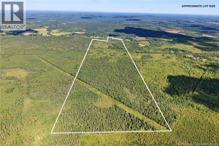 Lot Route 10, Upper Salmon Creek, New Brunswick, O0O0O0