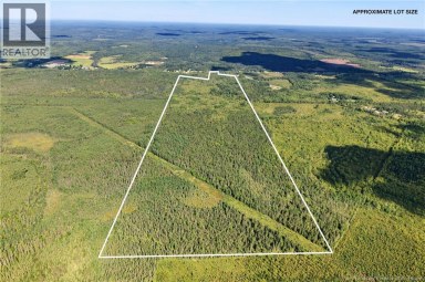 Lot Route 10 Upper Salmon Creek New Brunswick photo 8