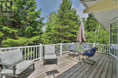 3186 COUNTY ROAD 121 ROAD Trent Lakes Ontario photo 10