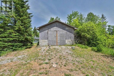 3186 COUNTY ROAD 121 ROAD Trent Lakes Ontario photo 37