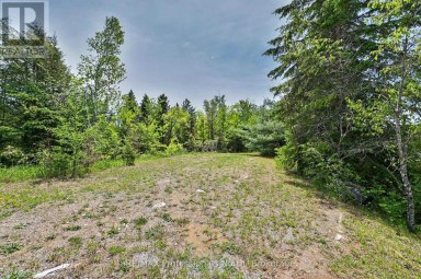 3186 COUNTY ROAD 121 ROAD Trent Lakes Ontario photo 39