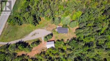 3186 COUNTY ROAD 121 ROAD Trent Lakes Ontario photo 42