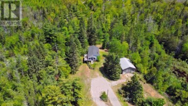 3186 COUNTY ROAD 121 ROAD Trent Lakes Ontario photo 43