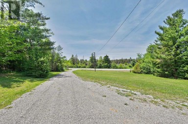 3186 COUNTY ROAD 121 ROAD Trent Lakes Ontario photo 6