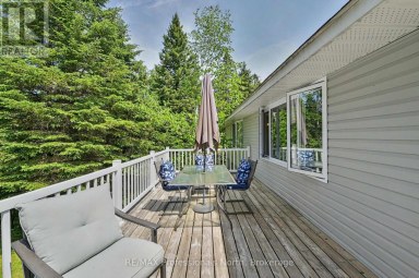 3186 COUNTY ROAD 121 ROAD Trent Lakes Ontario photo 9