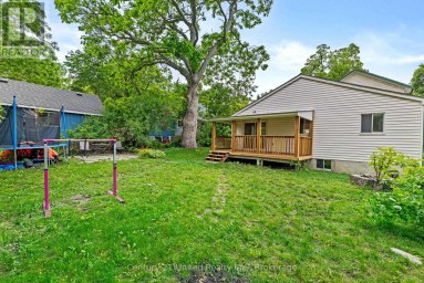 223 ANTRIM STREET Peterborough (Town Ward 3) Ontario photo 30