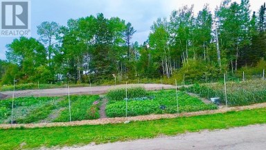 1207 594 HIGHWAY Kenora Remote Area (Oxdrift) Ontario photo 46
