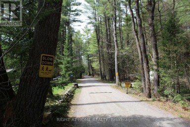 1019 FORRESTER TRAIL Bracebridge (Macaulay) Ontario photo 10