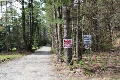 1019 FORRESTER TRAIL Bracebridge (Macaulay) Ontario photo 12