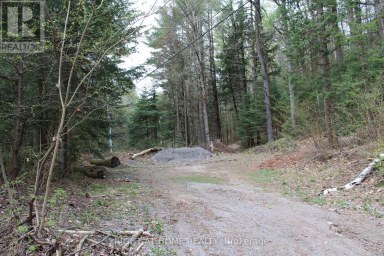 1019 FORRESTER TRAIL Bracebridge (Macaulay) Ontario photo 4