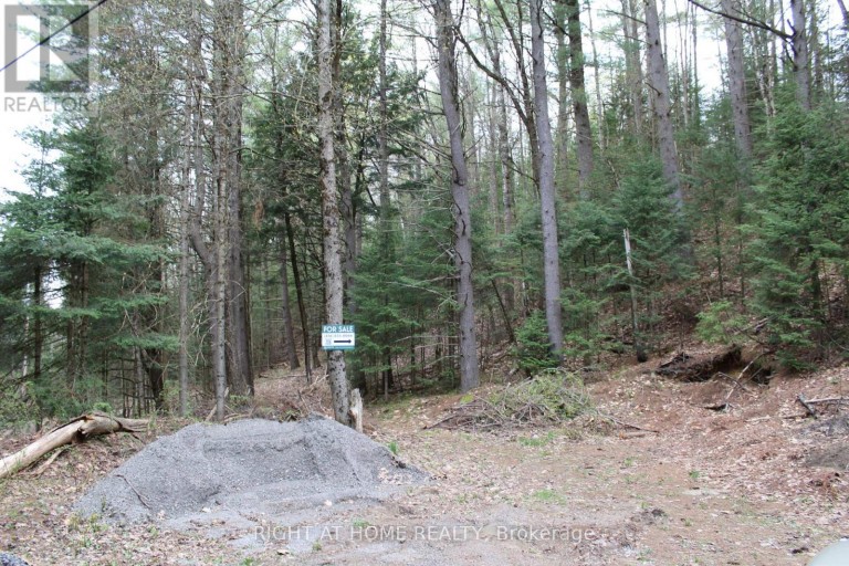 1019 FORRESTER TRAIL, Bracebridge (Macaulay), Ontario, P1L1W9