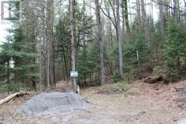 1019 FORRESTER TRAIL Bracebridge (Macaulay) Ontario photo 5