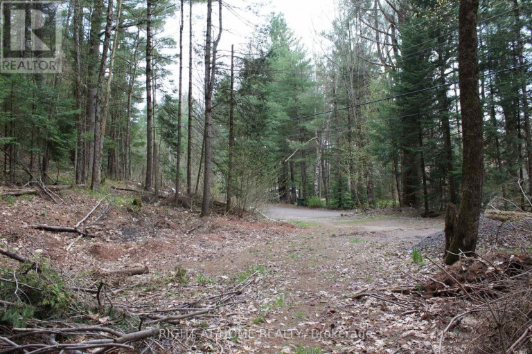 1019 FORRESTER TRAIL, Bracebridge (Macaulay), Ontario, P1L1W9