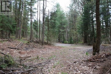 1019 FORRESTER TRAIL Bracebridge (Macaulay) Ontario photo 6