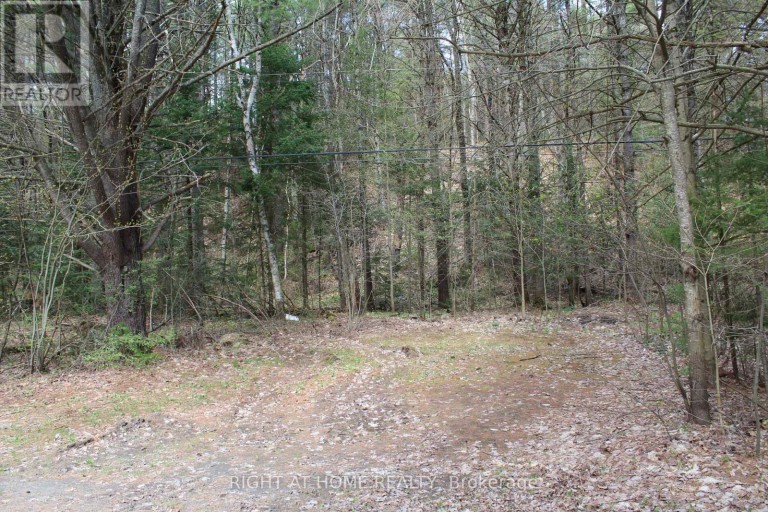 1019 FORRESTER TRAIL, Bracebridge (Macaulay), Ontario, P1L1W9