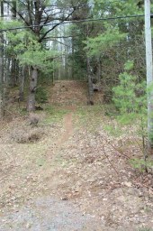 1019 FORRESTER TRAIL Bracebridge (Macaulay) Ontario photo 9