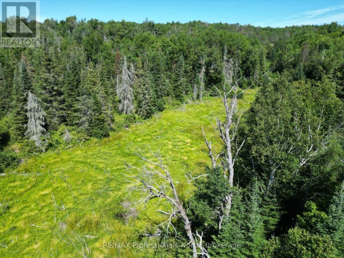 8111 COUNTY ROAD 503, Minden Hills (Snowdon), Ontario, K0M2A1