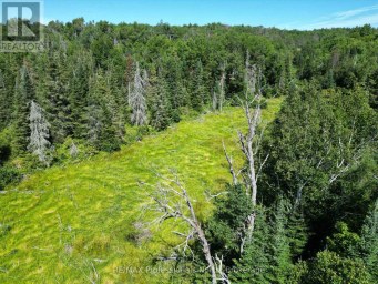 8111 COUNTY ROAD 503 Minden Hills (Snowdon) Ontario photo 47