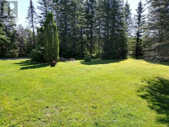 8111 COUNTY ROAD 503 Minden Hills (Snowdon) Ontario photo 48