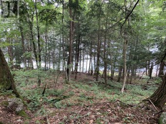 PT 3 SHADOWS END LANE Magnetawan (Ahmic Harbour) Ontario photo 4