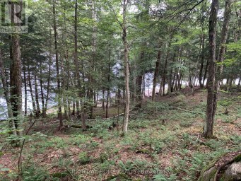 PT 3 SHADOWS END LANE Magnetawan (Ahmic Harbour) Ontario photo 5