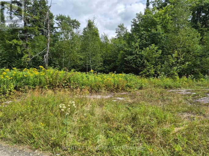 PT 3 SHADOWS END LANE, Magnetawan (Ahmic Harbour), Ontario, P0A1A0
