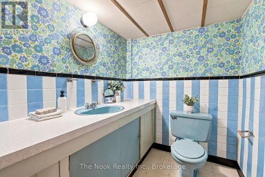 355 RIDGEWAY AVENUE Oshawa (McLaughlin) Ontario photo 41