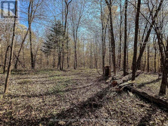 2494 HADLINGTON ROAD, Highlands East (Monmouth), Ontario, K0L3K0