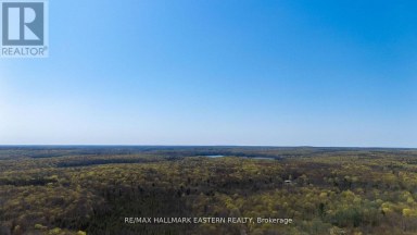 2494 HADLINGTON ROAD Highlands East (Monmouth) Ontario photo 11
