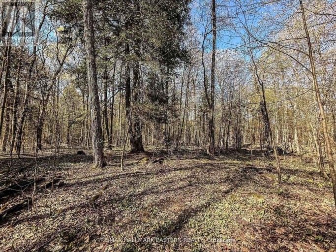 2494 HADLINGTON ROAD, Highlands East (Monmouth), Ontario, K0L3K0