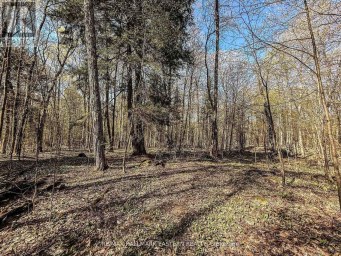 2494 HADLINGTON ROAD Highlands East (Monmouth) Ontario photo 2