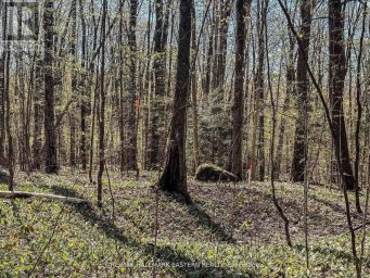 2494 HADLINGTON ROAD Highlands East (Monmouth) Ontario photo 3