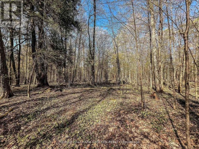 2494 HADLINGTON ROAD, Highlands East (Monmouth), Ontario, K0L3K0