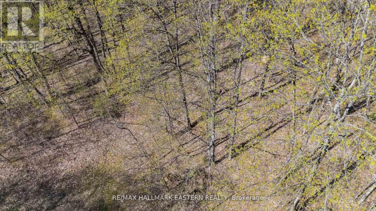 2494 HADLINGTON ROAD, Highlands East (Monmouth), Ontario, K0L3K0