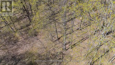 2494 HADLINGTON ROAD Highlands East (Monmouth) Ontario photo 5