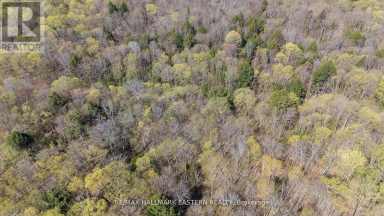 2494 HADLINGTON ROAD, Highlands East (Monmouth), Ontario, K0L3K0