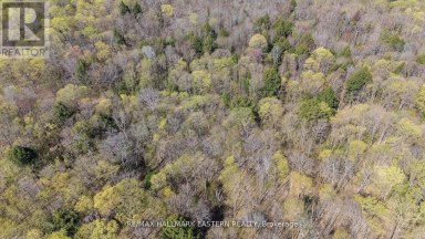2494 HADLINGTON ROAD Highlands East (Monmouth) Ontario photo 6