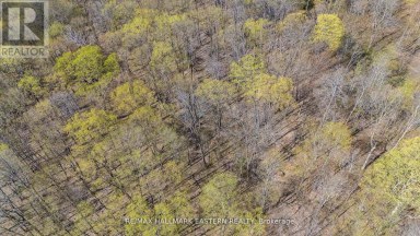 2494 HADLINGTON ROAD Highlands East (Monmouth) Ontario photo 7